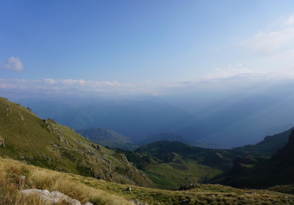 La Forêt en Pays d\'Olmes