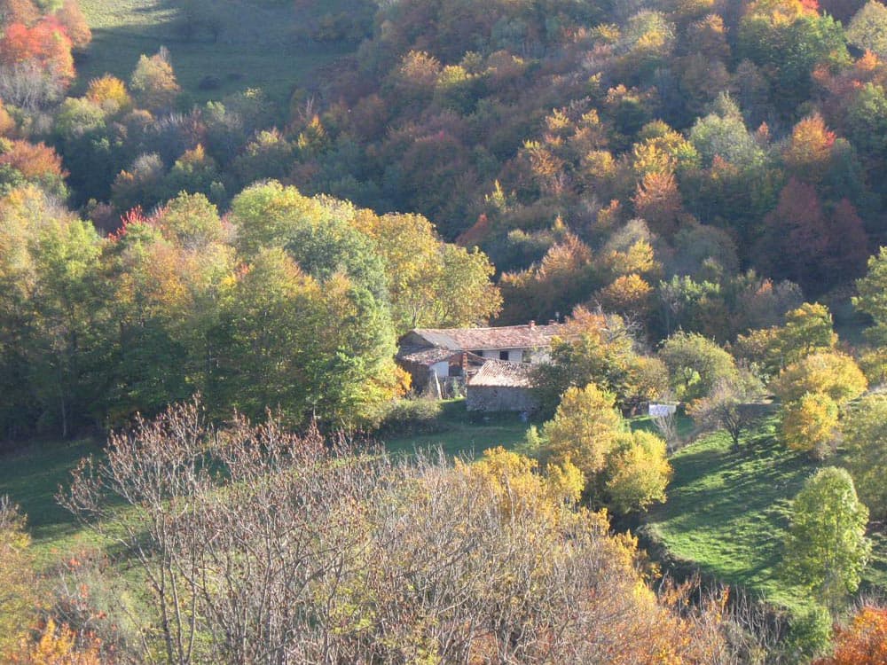Le Bénal